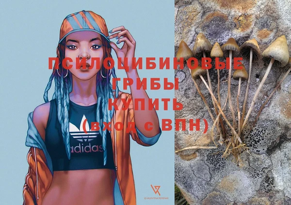PSILOCYBIN Арсеньев
